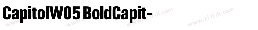 CapitolW05 BoldCapit字体转换